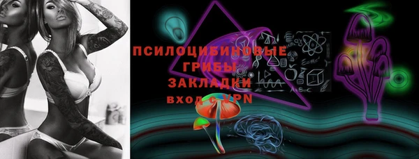 дживик Алзамай