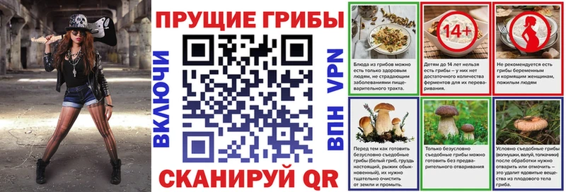 наркотики Красноярск Псилоцибиновые грибы Magic Shrooms